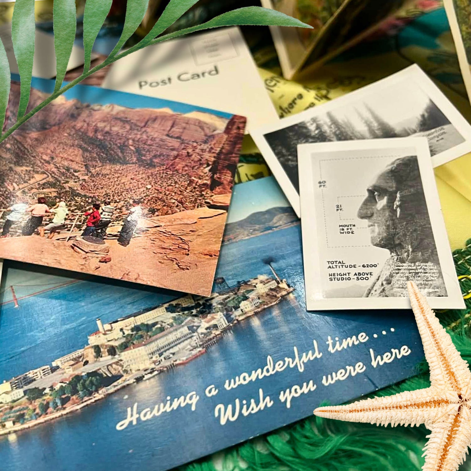 Travel & Souvenir Shop