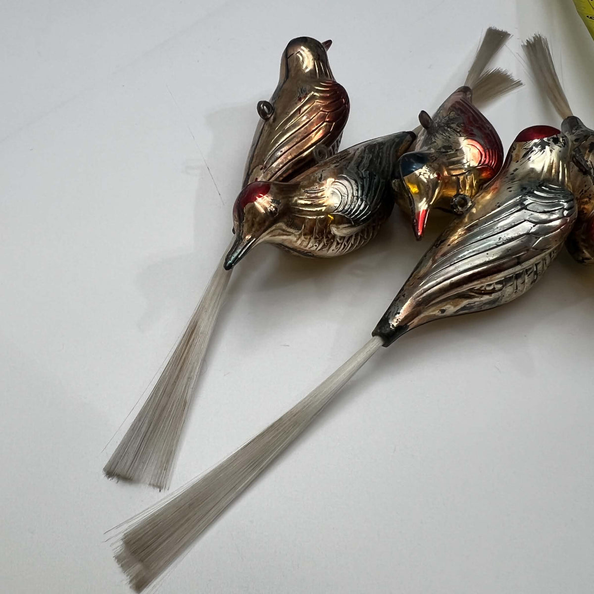 Antique German Blown Glass Bird Christmas Ornaments with Spun Glass Tails | 5 Piece Collector Lot