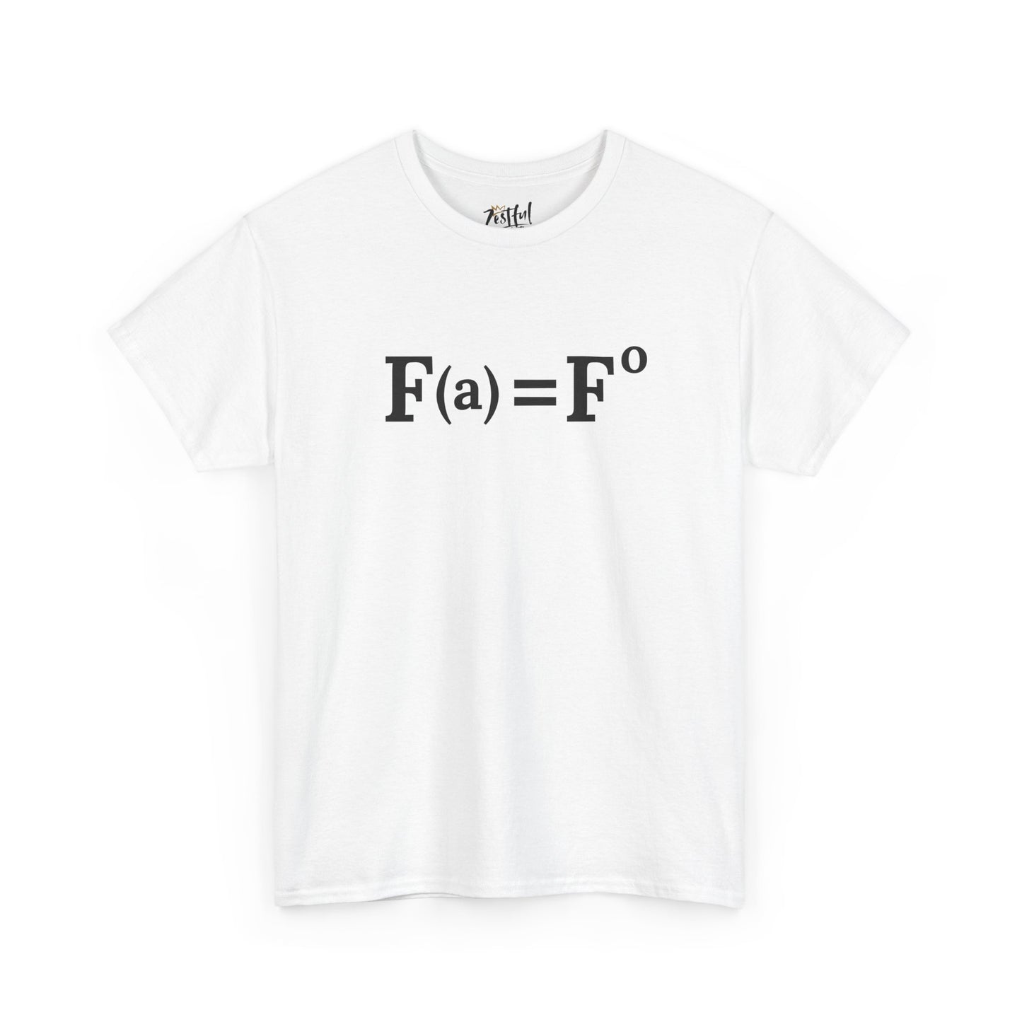 Fuck Around and Find Out FAFO Equation Tee