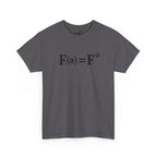 Fuck Around and Find Out FAFO Equation Tee