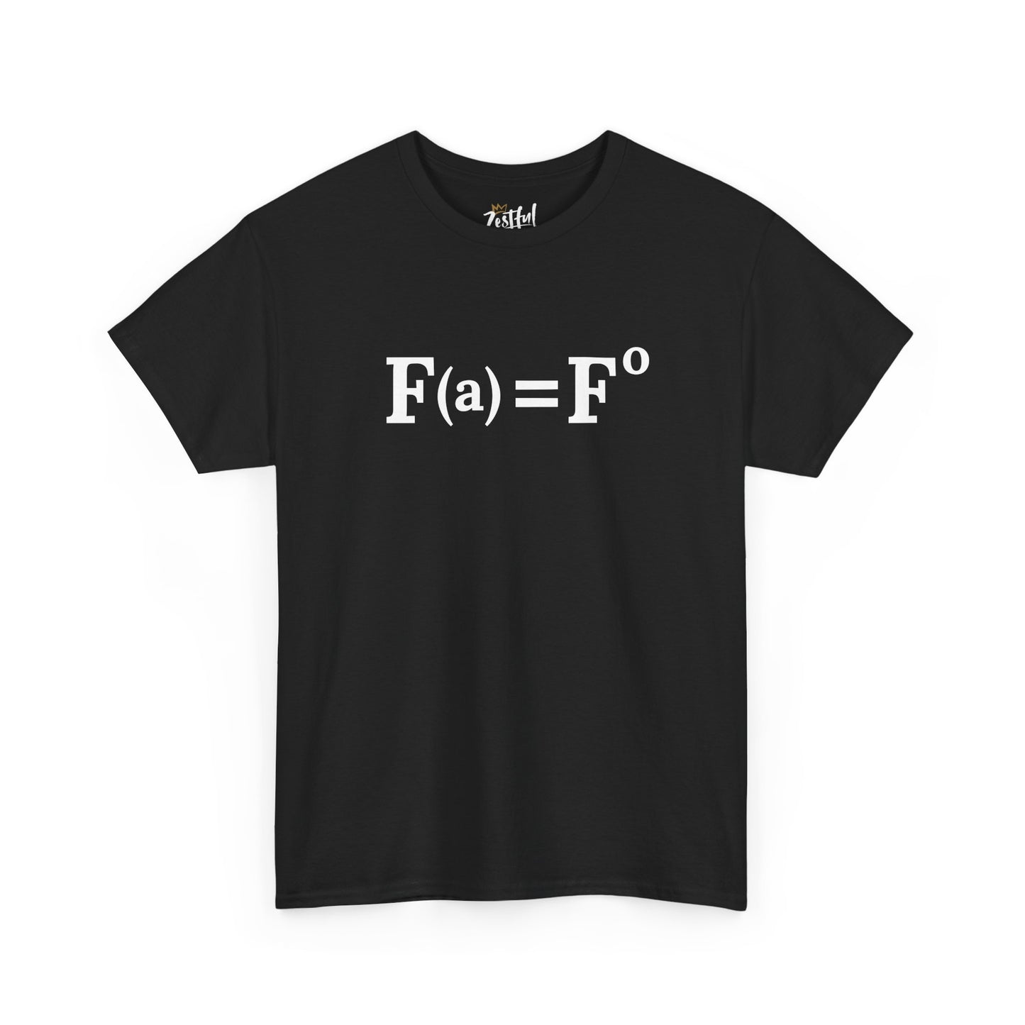 Fuck Around and Find Out FAFO Equation Tee