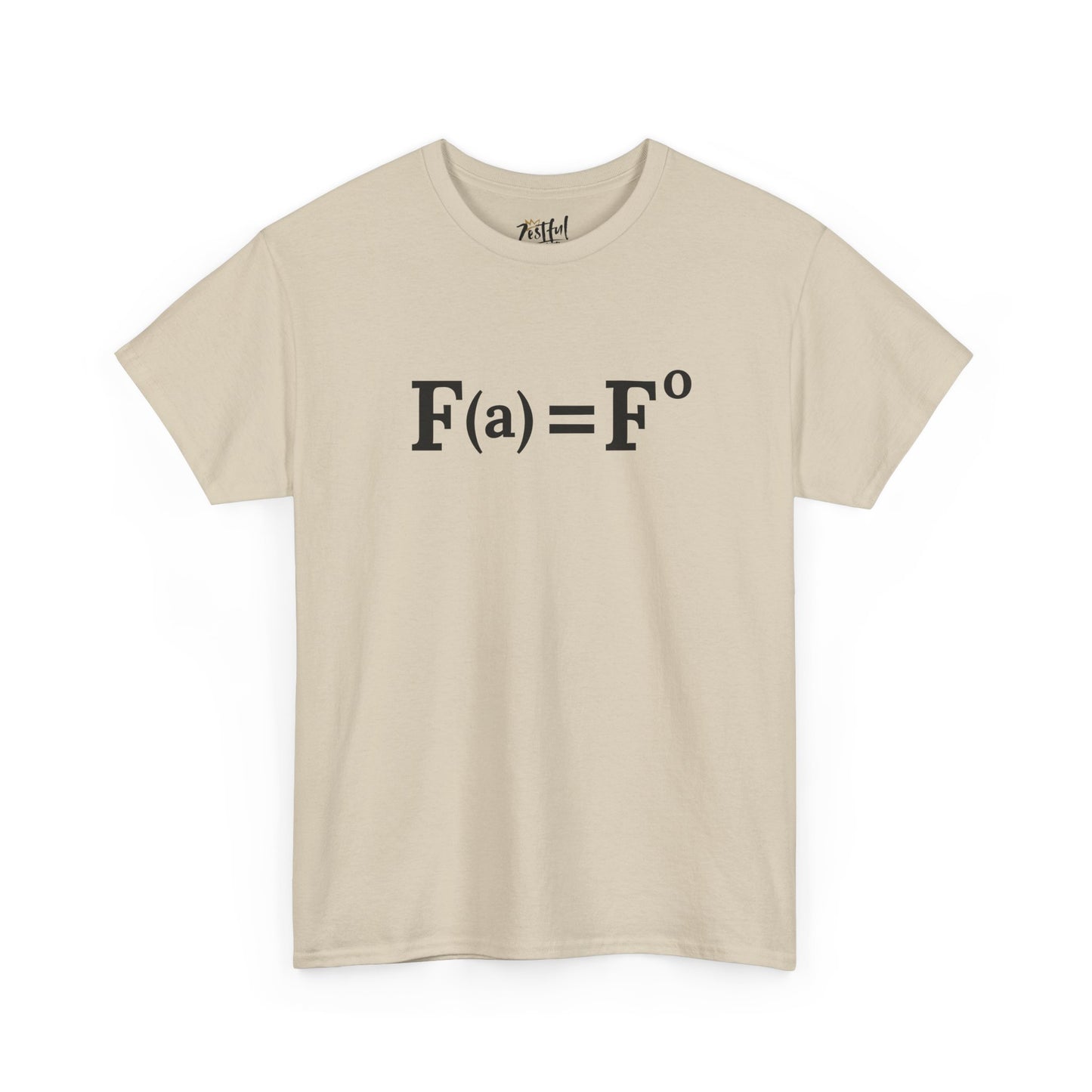 Fuck Around and Find Out FAFO Equation Tee