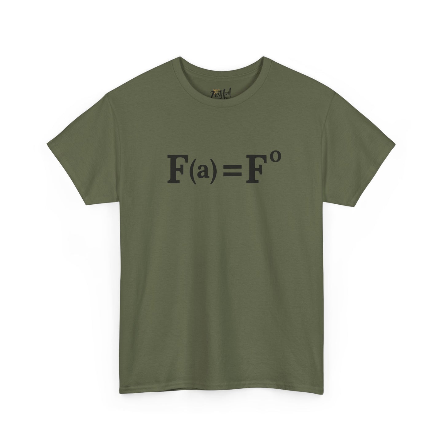 Fuck Around and Find Out FAFO Equation Tee