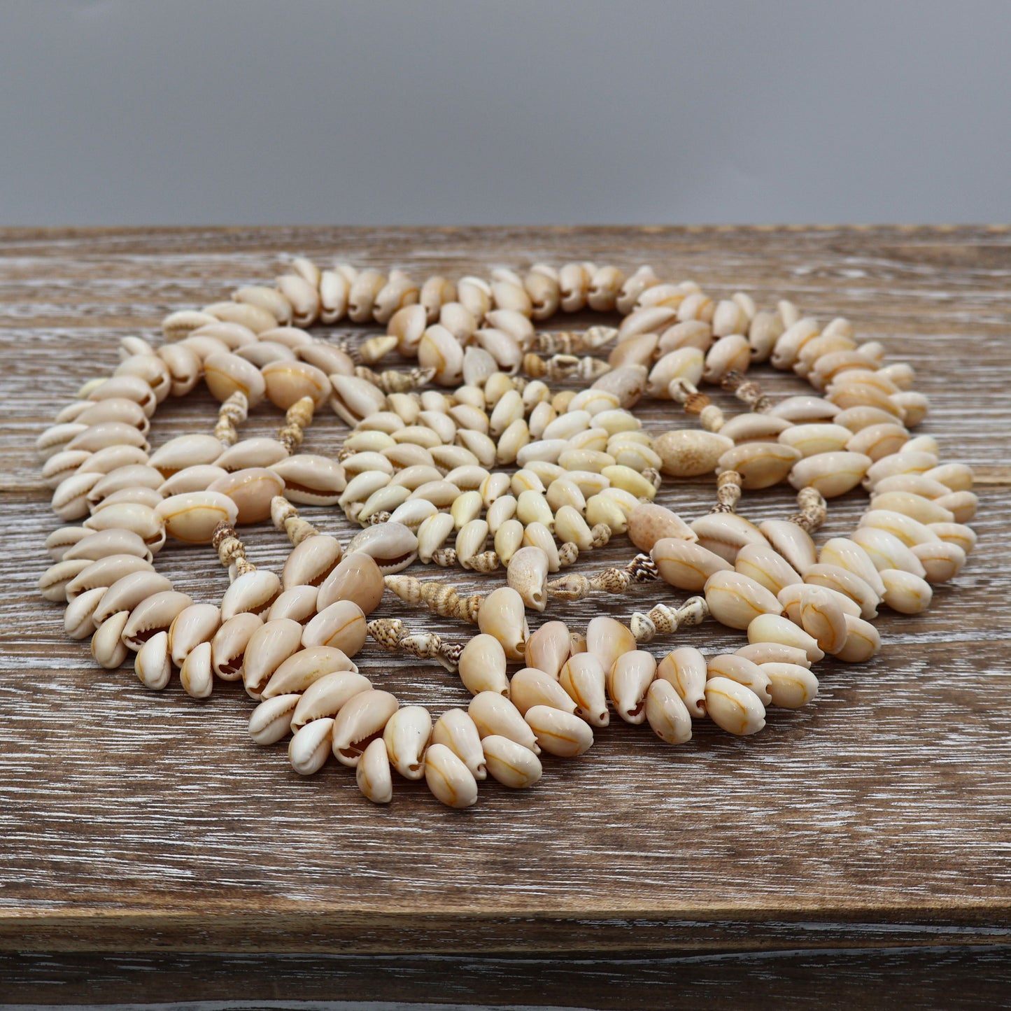 Handmade coastal shell hot pad with layered cowrie shells arranged in circular pattern