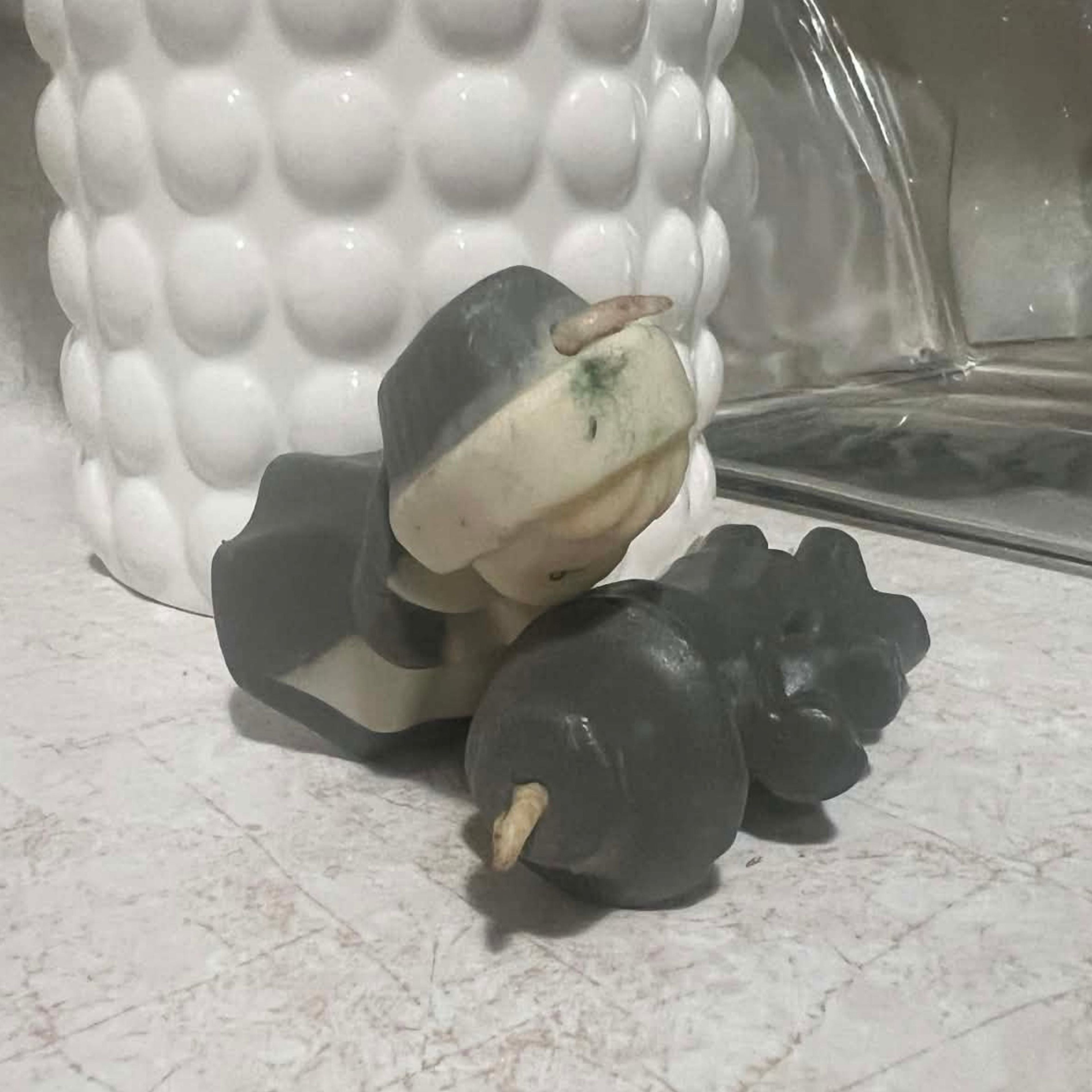 Close condition view of vintage Gurley pilgrim candles showing the intact unused wicks and upper portions of both molded wax figures. Visible age-related discoloration appears near the female pilgrim's head while the dark wax clothing shows expected vintage surface wear.