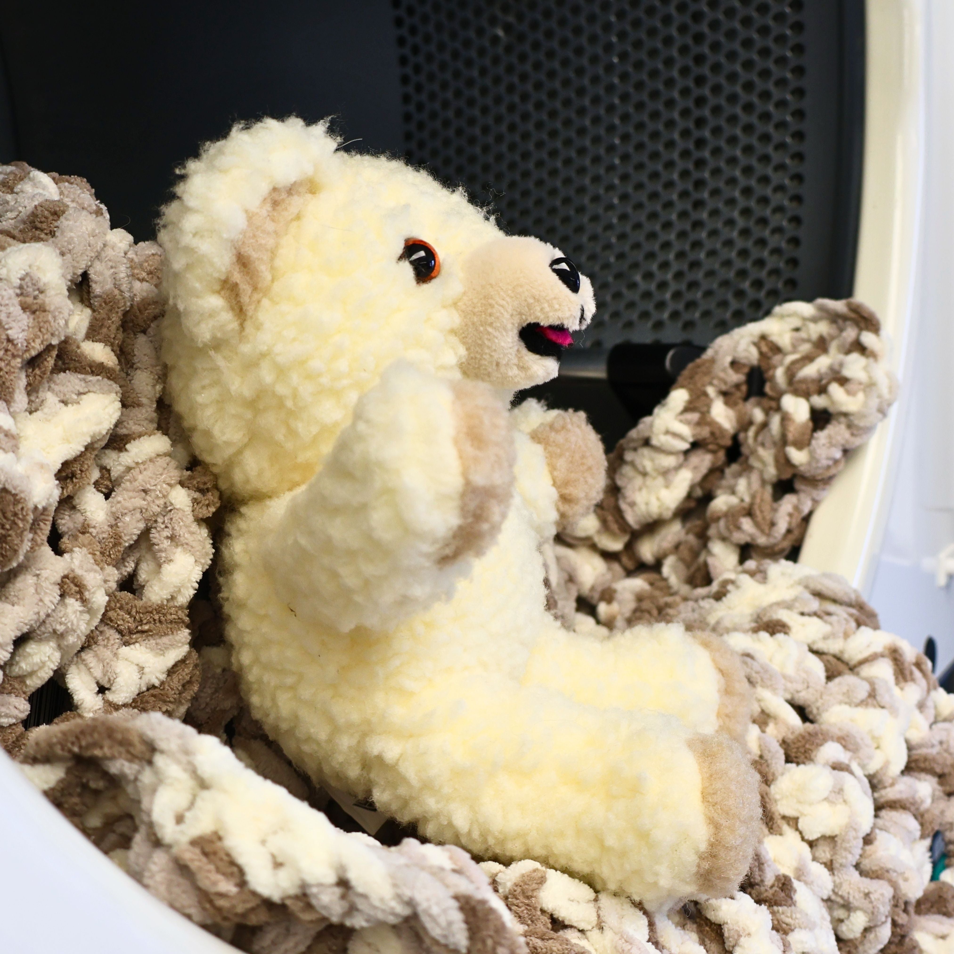 Vintage Toys & Games | Nostalgic Retro Collectibles – Zestful