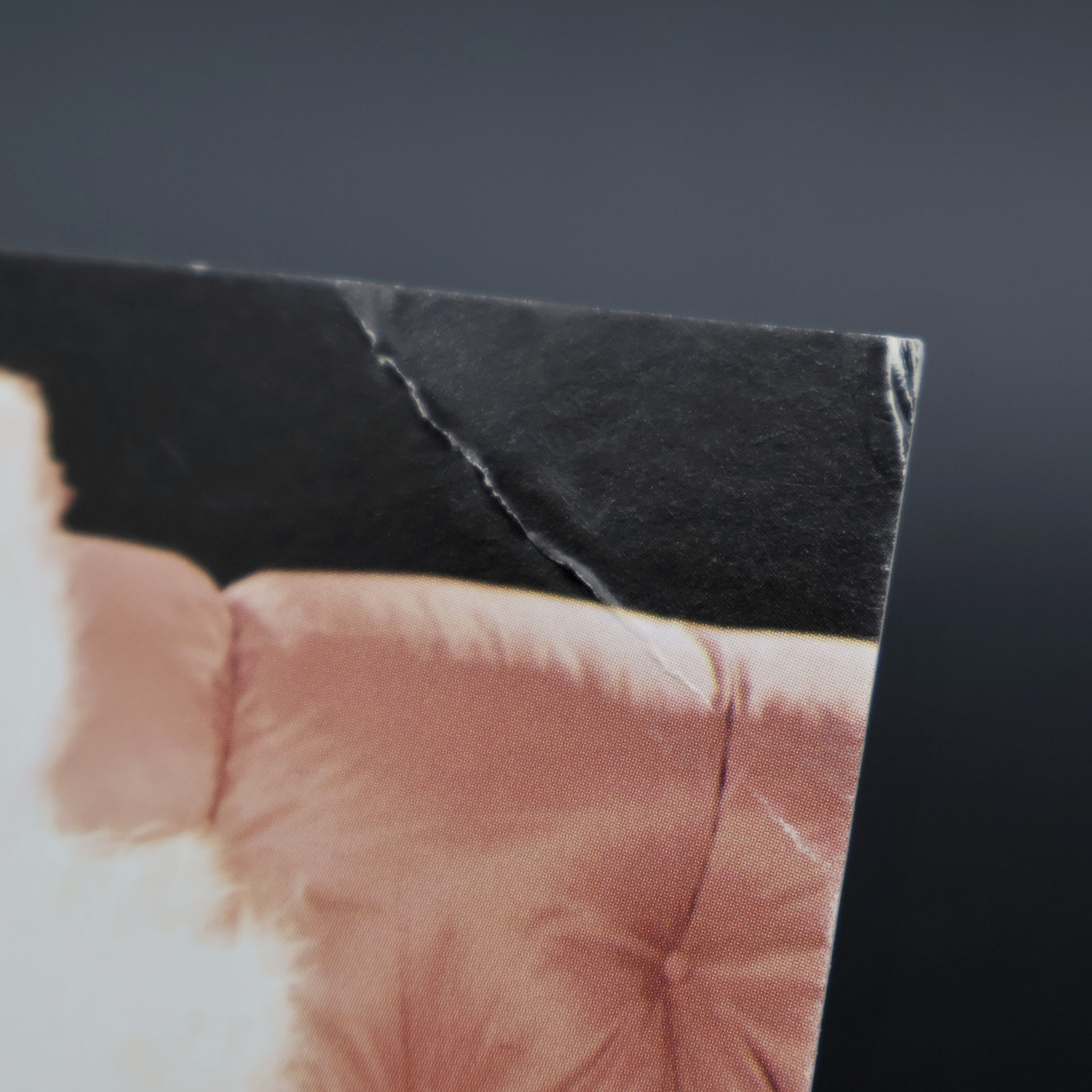 Close-up of corner bend damage on Marilyn Monroe 1957 Richard Avedon postcard