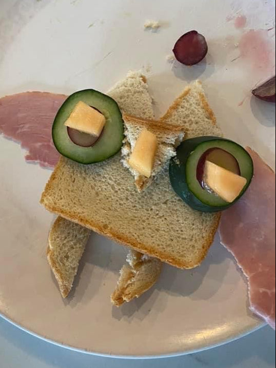 Reader-submitted owl sandwich created from a kid-friendly recipe featured in the Oliver the Owl book series by children’s author Rayna Jo Zest, showing a playful food activity families can make together.