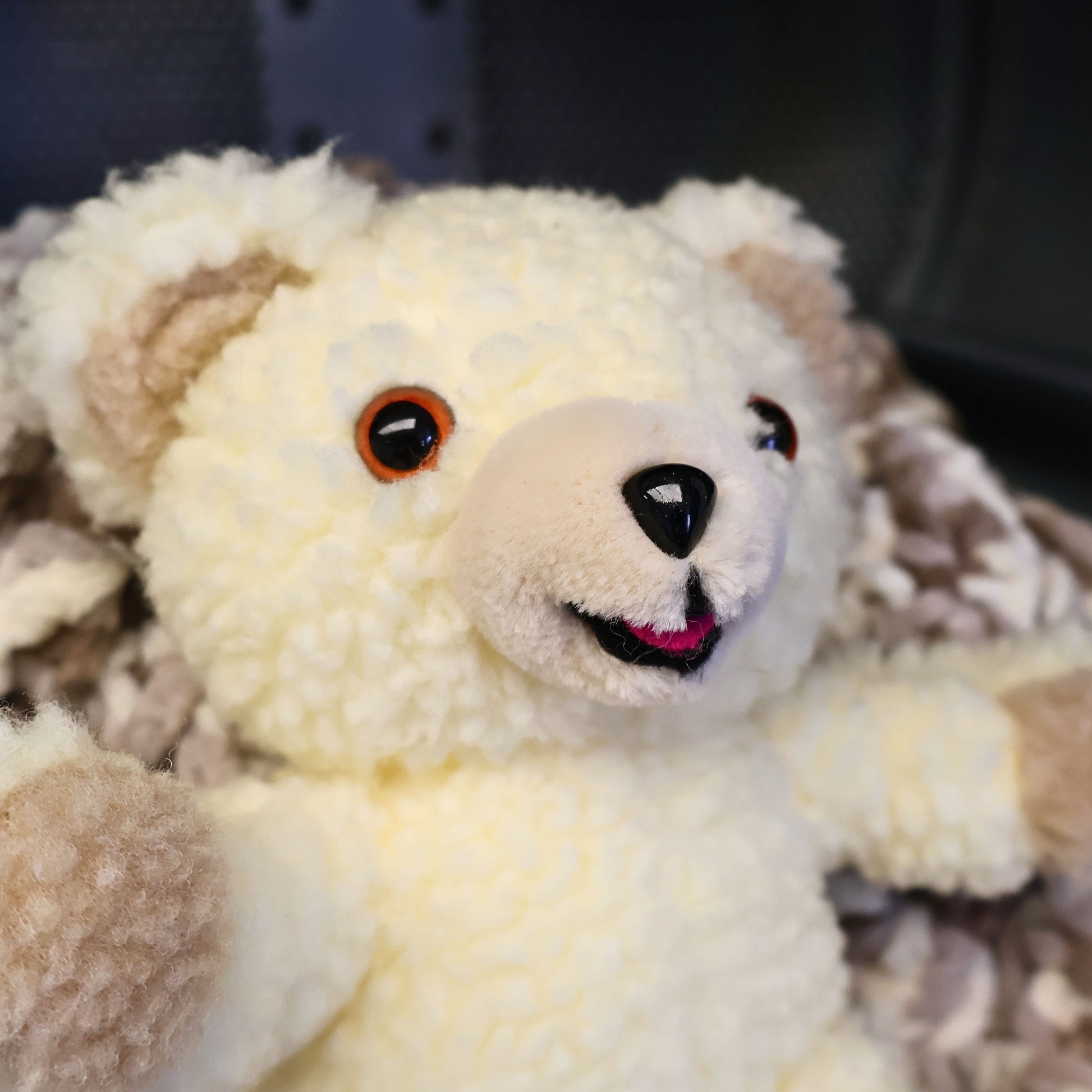 Close-up of the original Snuggle Bear plush highlighting its fluffy cream texture, embroidered smile, amber safety eyes, and friendly expression. A charming 1990s advertising mascot collectible that brings warmth and nostalgia to vintage decor collections.