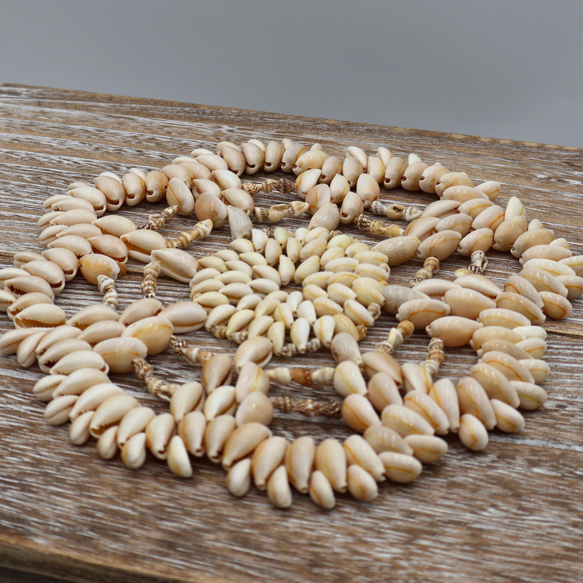 Vintage 9 inch seashell trivet made from cowrie and puka shells in starburst design on wood table